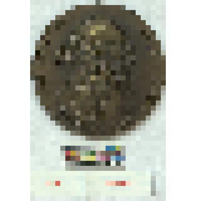 СССР. Медаль. В память 50-летия со дня смерти Л.Н. Толстого