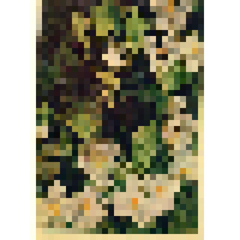 Открытка цветная "Цветущая вишня"