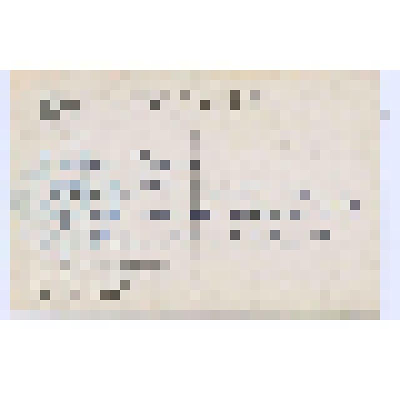 З.Г. Фосдик. Открытка Л.С. и Т.С. Митусовым