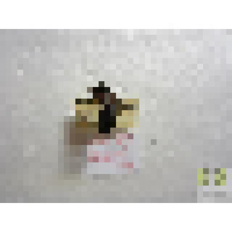 Хищник схожий (Staphylinus similis)