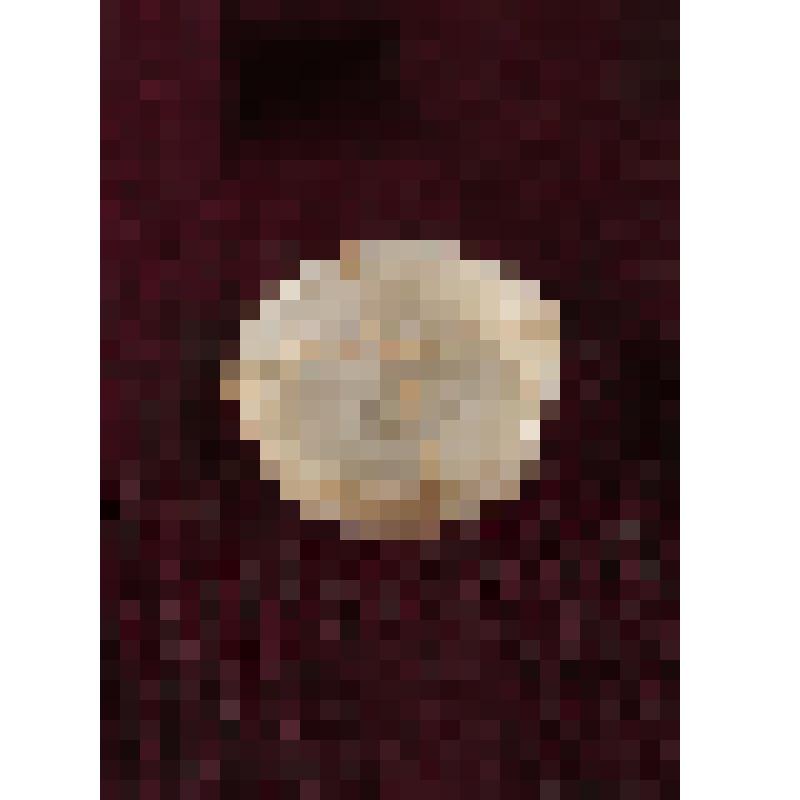 Коробка с костяными бирюльками: таз