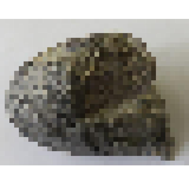 Горная порода. Валун