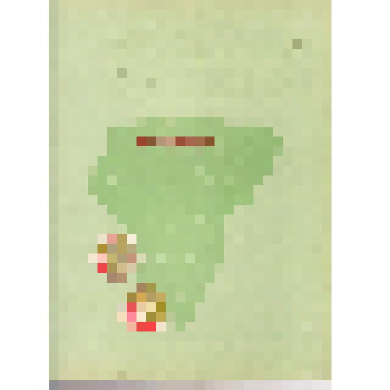 Грамота почетная г. Кировграду за достижение наилучших результатов в областном общественном смотре резервов повышения производительности труда и качества работы в 2-м квартале 1977 года от  Свердловского обкома КПСС, облисполкома, облсовпрофа, обкома ВЛКС