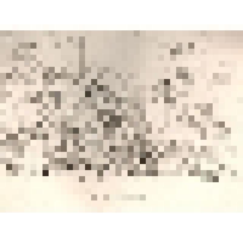 Лист 99. Альбом офортов GALERIE LEUCHTENBERG