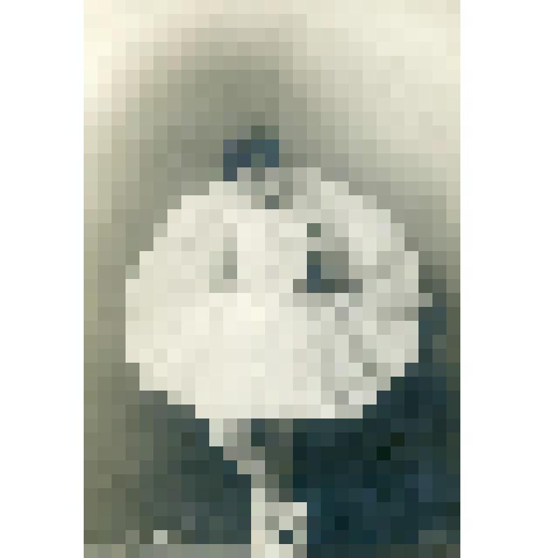 Фотооткрытка. К. Бурина I-я