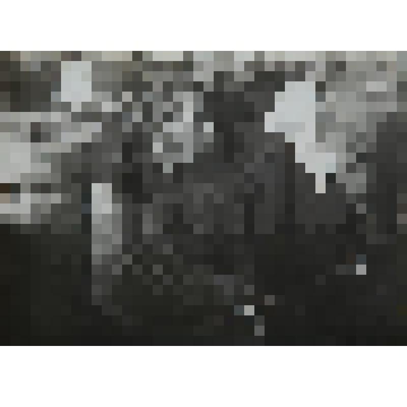 Фотография из альбома. Станица 44 фотография 150. На съезде колхозников