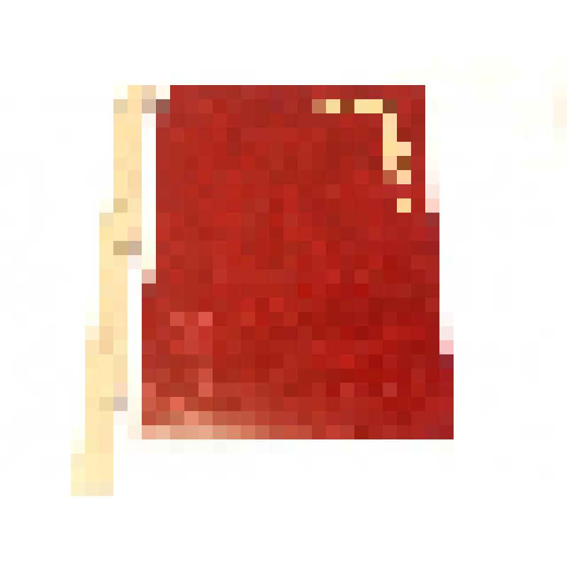 Поздравление жителям и главе НГО Машкову В.Н. с 60-летием города от главы города Снежинска