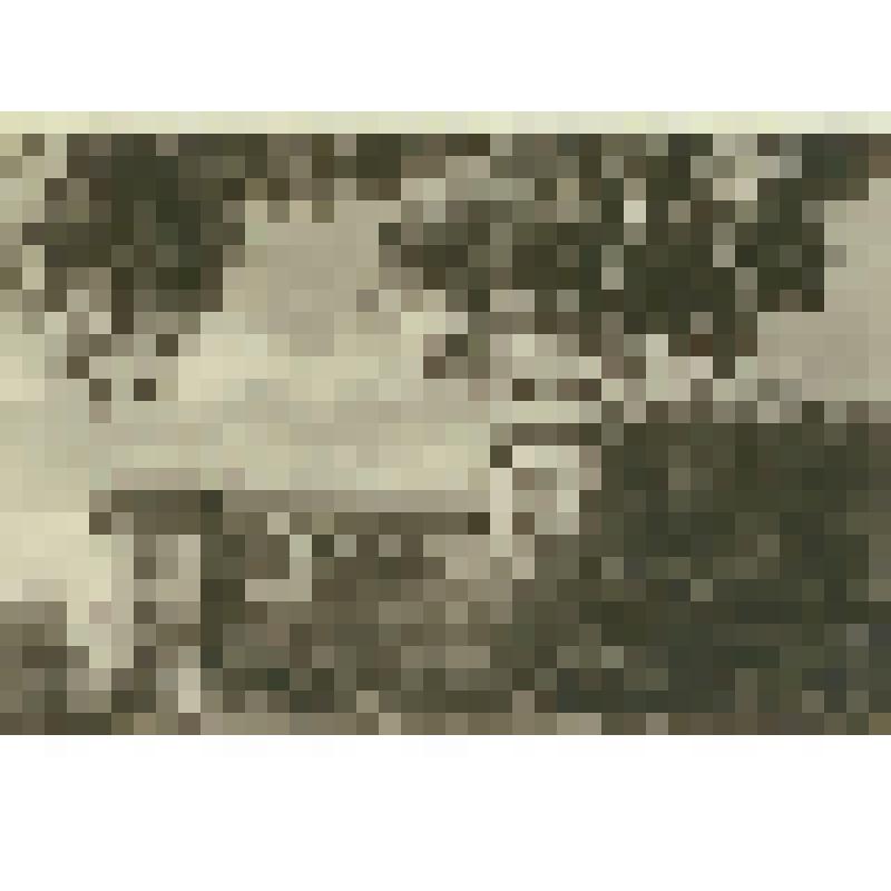 Фотография. Университетский городок. 1 и 2 корпуса СГУ, из коллекции материалов Хохлова Сергея Спиридоновича (1910-1974), саратовского ученого-генетика, доктора биологических наук, профессора, зав.кафедрой генетики и дарвинизма СГУ