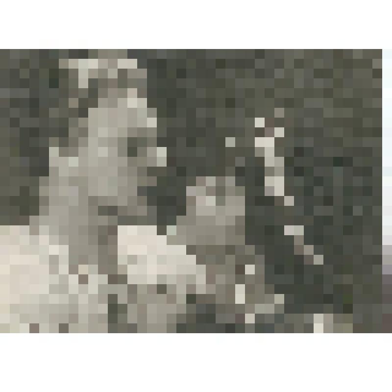 Фотография. Шутова Ливия Васильевна, в роли Клеопатры, и Сальников Георгий Иванович, в роли Антония, в спектакле «Антоний и Клеопатра»