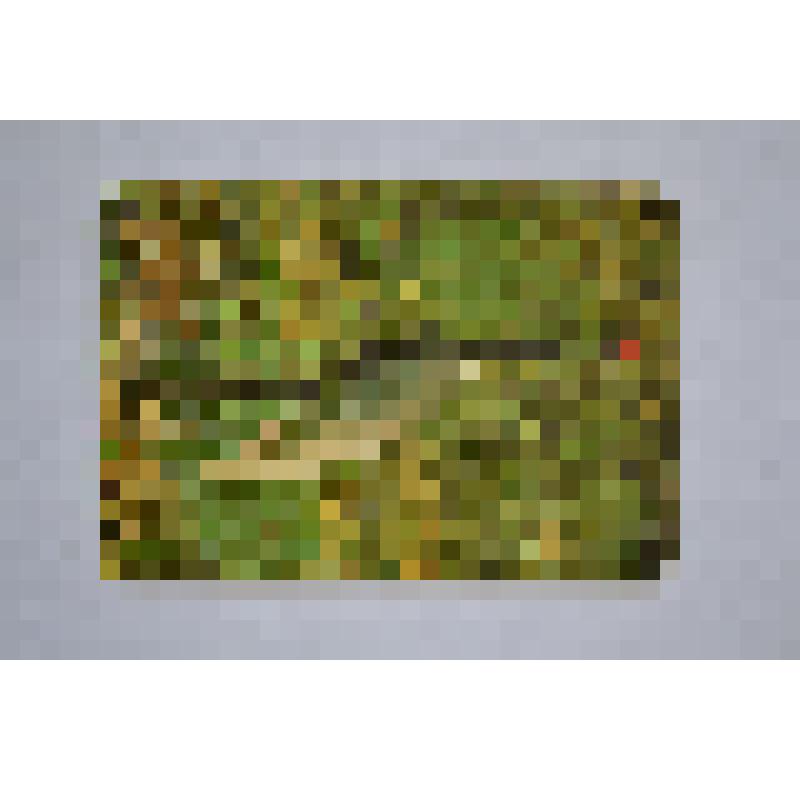 Календарь карманный. Даурский журавль. Фото Г.Смирнова