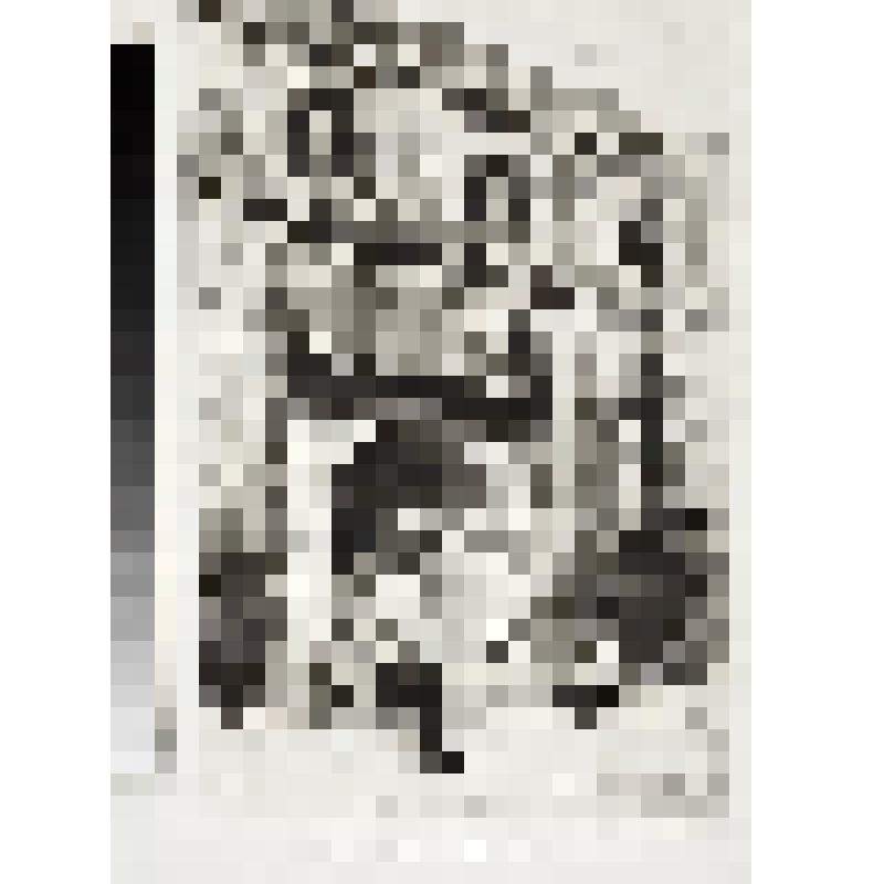 Портал собора, гравюра