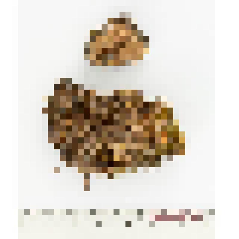 Гербарный экземпляр лихенологический (лишайники). Солорина шафрановая