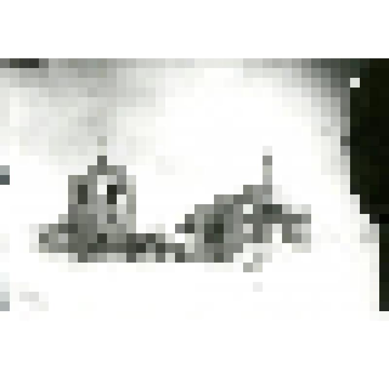 Фотокопия со стеклянных негативов. Церковь с колокольней на севере