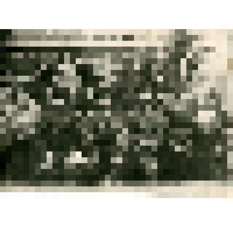 Фотография. Экспедиция инженера Владимира Евграфьевича Попова по изысканию Аяно-Нельканского тракта