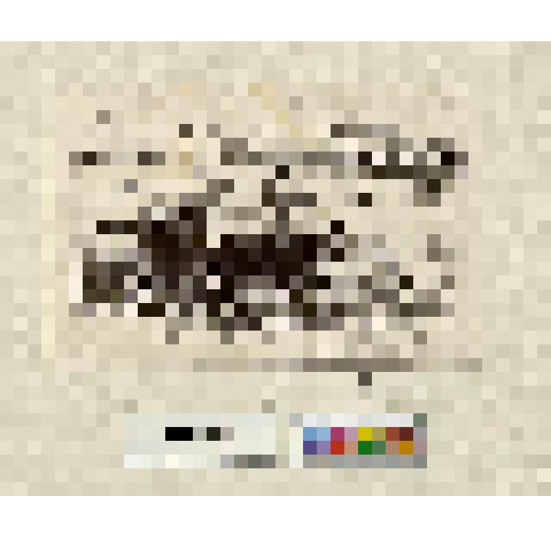 Несколько мужчин и женщина с зонтом - в лодке - плывут вдоль реки