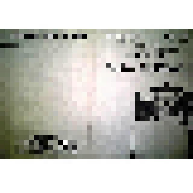 Учетная карта-паспорт элемента исторической застройки к историко-архитектурному опорному плану и проекту зон охраны. РСФСР, Тульская область, г. Тула, Пролетарский р-н, квартал №22, пер.Пролетарский, д.17