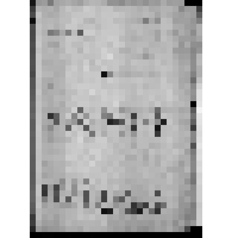 КОПИЯ РАПОРТА