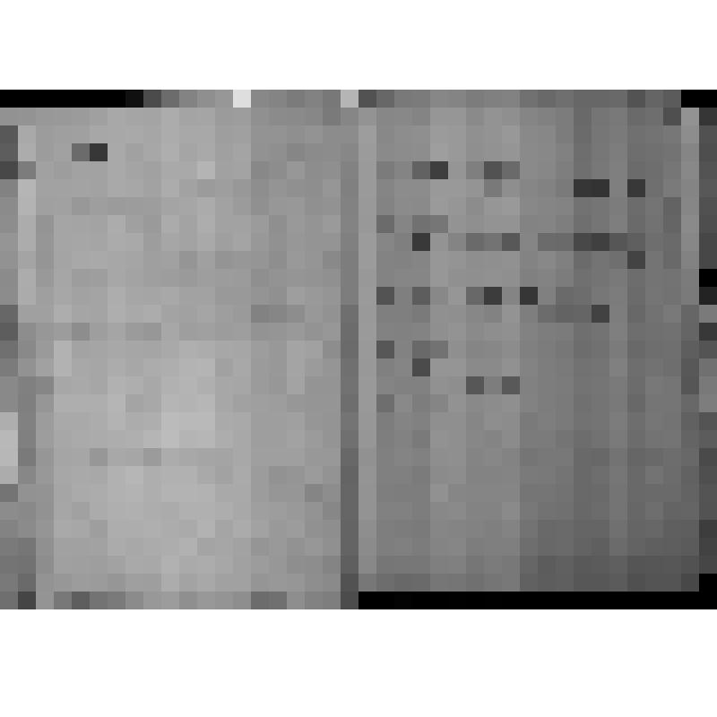 КОПИЯ РАПОРТА