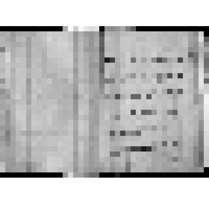 КОПИЯ РАПОРТА