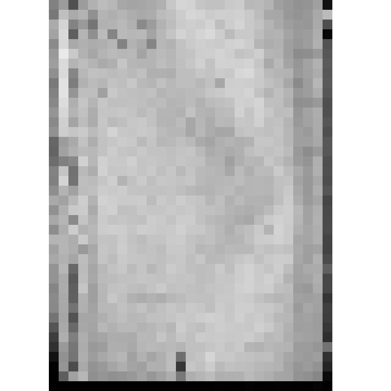 КОПИЯ РАПОРТА