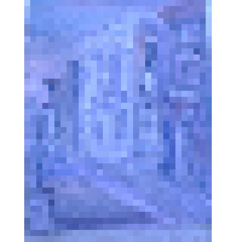 "Мойка, 12". Станковая графика