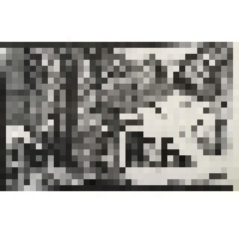 Заставка. (Илластрация к книге П.Муратова "Эгерия")