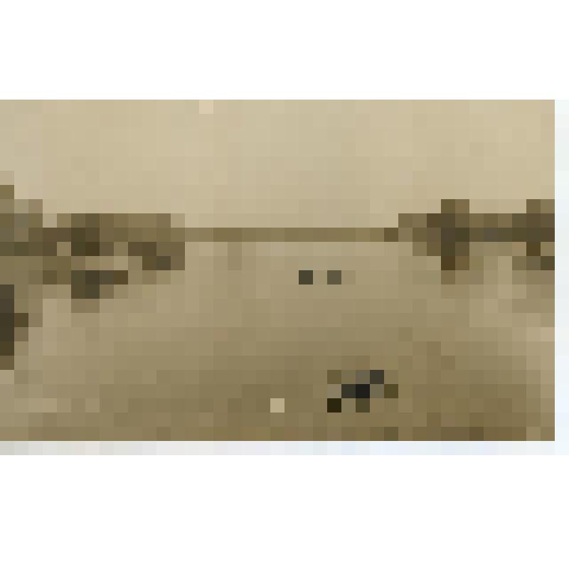 Открытка.Лондон. Серпантин.  Кенсингтонский сад