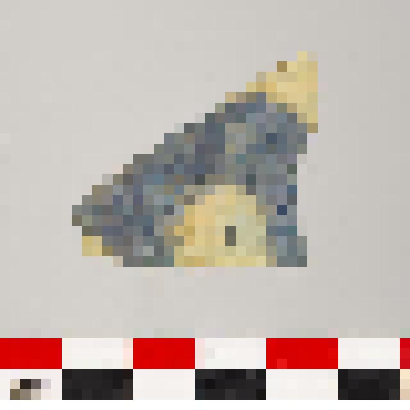 Изразец. Водянское городище