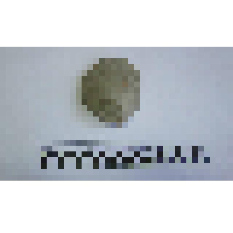 Ножка амфоры типа Зеест 72