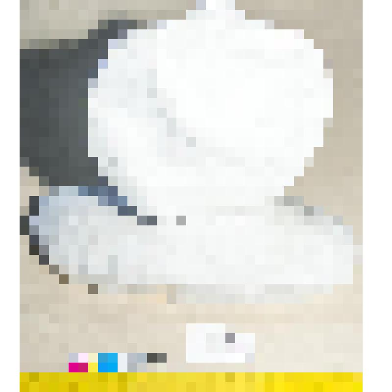 Толстой Л.Л. Бюст С.Н. Румянцева, повара Толстых