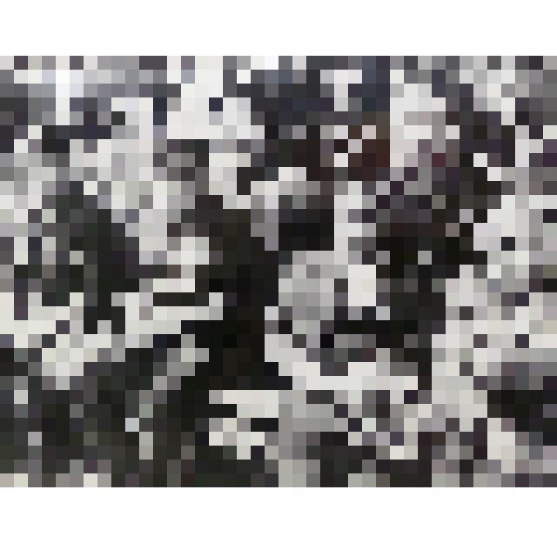 Фотография "Ветераны войны и труда, старожилы города Изобильного"