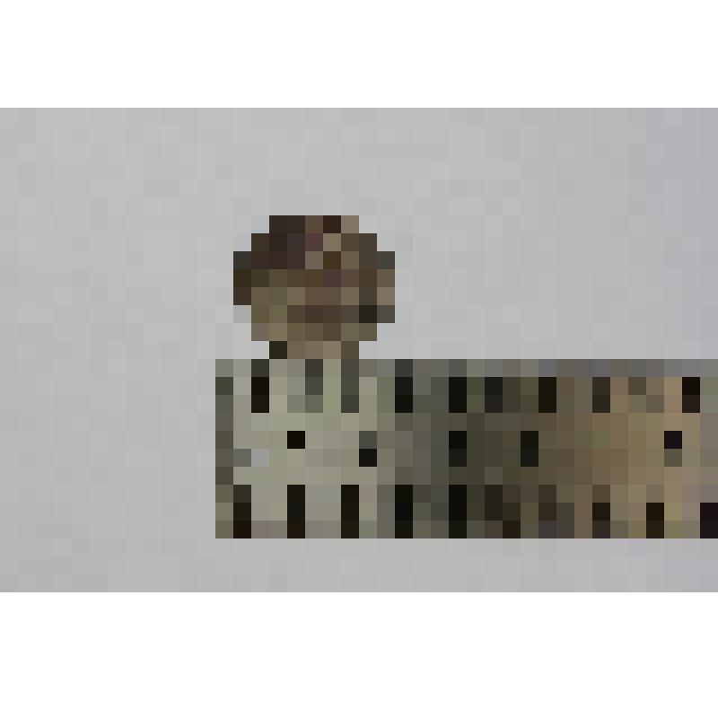 Монета. 20 пара