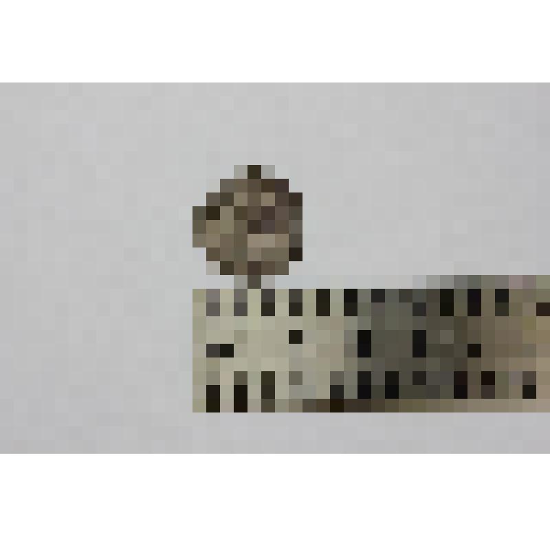 Монета. 20 пара