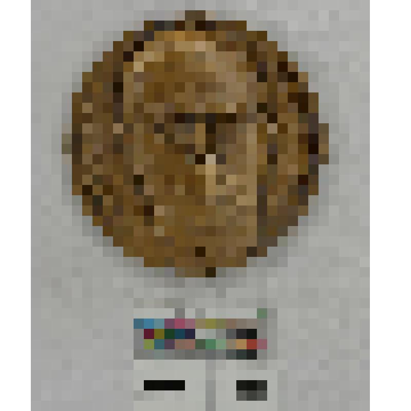 СССР. Медаль. Премия имени Н.Н. Острякова