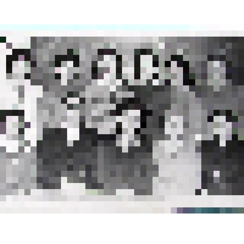 Фото №6 "1977 год. Коллектив школы: Александров С.П. (директор), Титерина Н.В. (завуч), Зараменских В.И., Степанова Е.А., Гунина Ф.Н., Гольдбек В.Г., Файздрахманова А.П., Латушкина Р.П." из фотоальбома "Карпинская ШРМ №1"