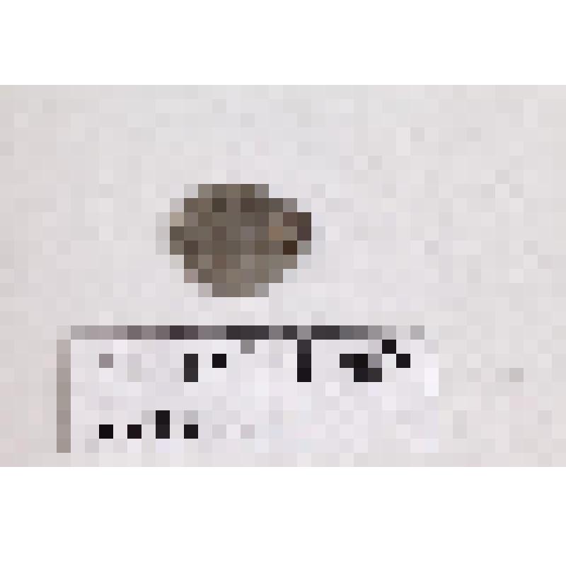 Монета "копейка"