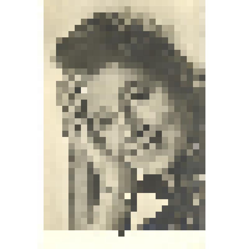 Фото-открытка. Эльза Радзинь