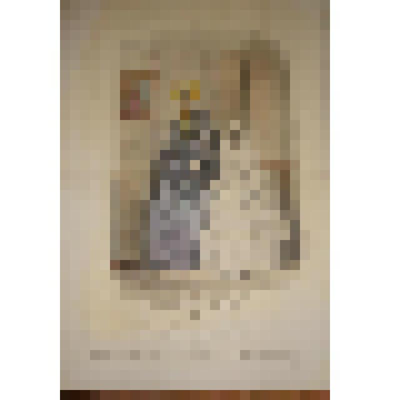 Литография. Лист из журнала "Вестник моды". Женщина и девочка у картины