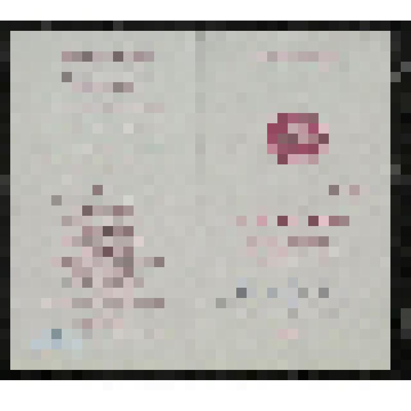 Программа. "Ах уж эти гусары!" "Женишок-горбунок" (Режиссер-постановщик - Перепелкин И. Художник-постановщик - Рошко Л.); "Девушка-гусар" (Режиссер-постановщик - Перепелкин И. Художник-постановщик - Рошко Л.). Челябинск, Драматический театр для детей и мо