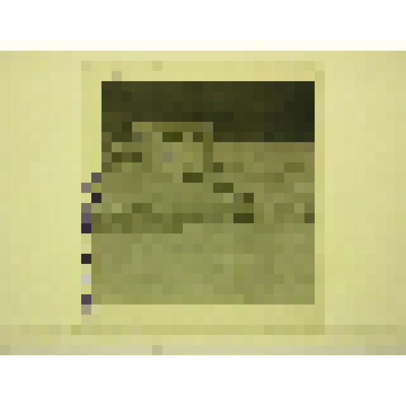 Здание правления рыболовецкого колхоза им. Кирова. Эстония. Здание правления рыболовецкого колхоза им. Кирова. Фрагмент