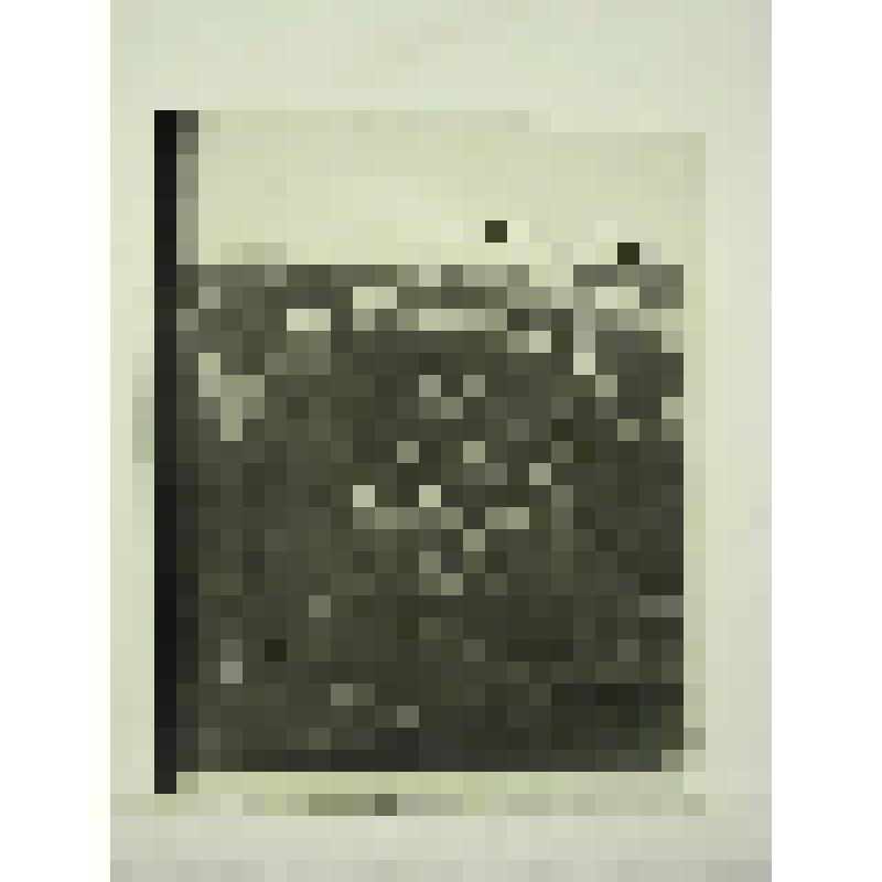 Дом Выголовых, ул. Черновой, 63. 1880-е гг. Челябинская  обл., Кусинский р-н, г. Куса. Дом Выголовых, ул. Черновой, 63. 1880-е гг. Декор подклетного этажа под окнами