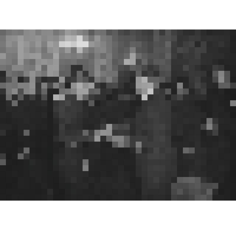 Фотография. Посвящение в курсанты МВИМУ