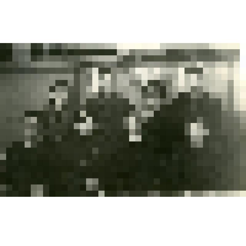 Члены общезаводского комитета ВЛКСМ Уралвагонзавода