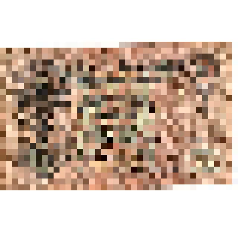 Кредитный билет Российской империи достоинством в 25 рублей. Коллекция бумажных денежных знаков Орлова В.С