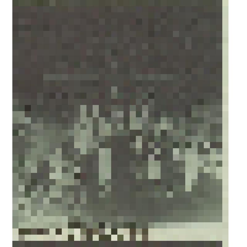 Негатив.  г. Киров.  Цирк летом