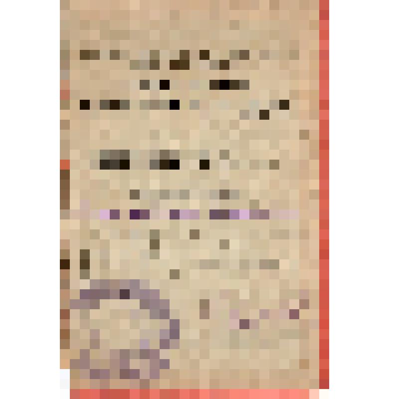 Удостоверение 18172 Мавринского И.Л. - члена Самарского губ. Исполкома Советов РК и КД Мавринского И.Л