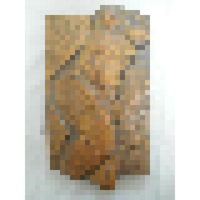 Рельеф с женским торсом