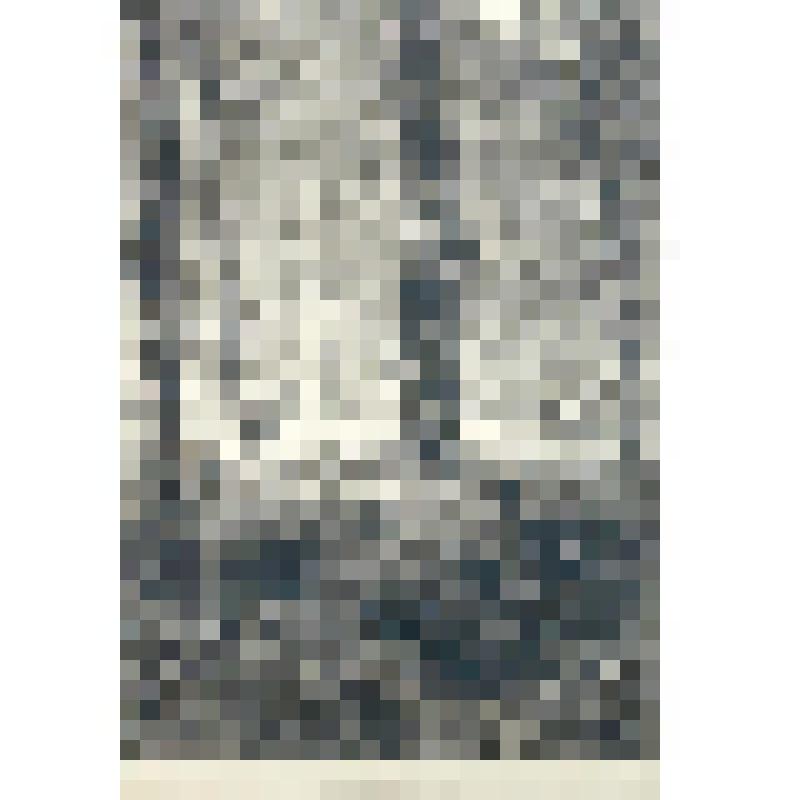 "Олени и лани в лесу". Гравюра