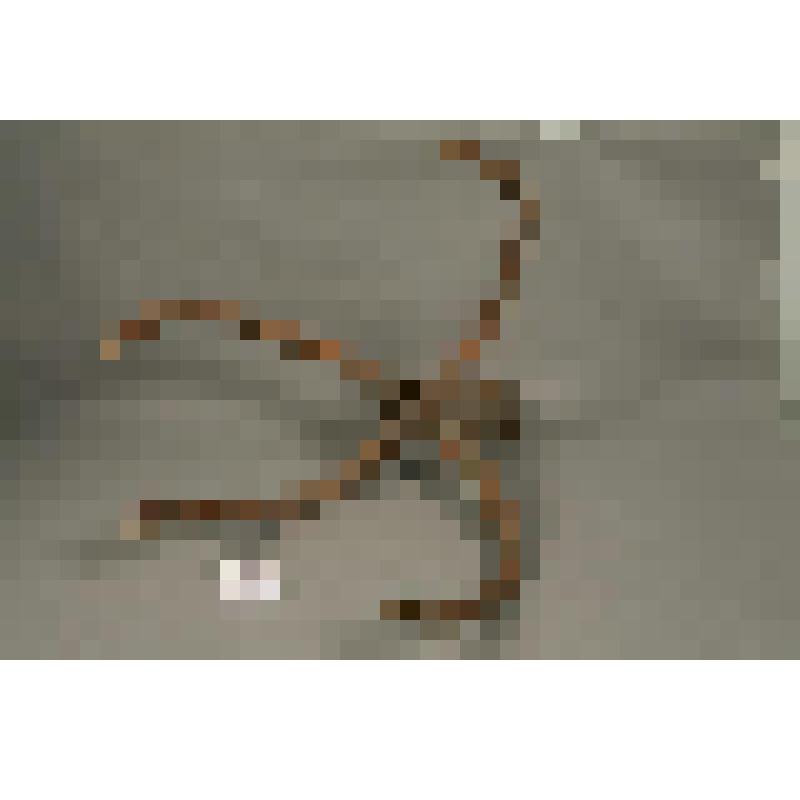 Сновалка - предмет для наматывания пряжи