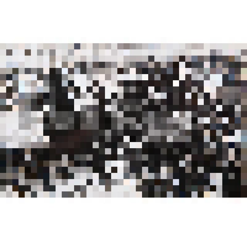 Фотография из альбома. Станица 7 фотография 23. День 1-го августа 1929 года в Новороссийске